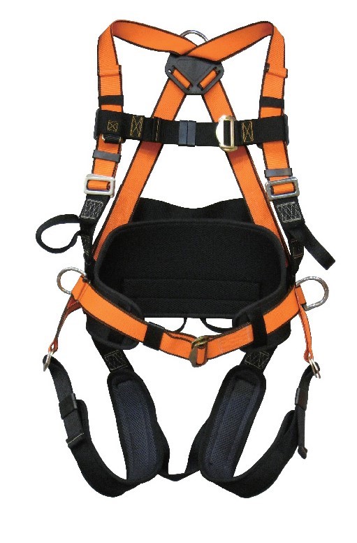 Full Body Harness