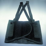 Back Support Belt